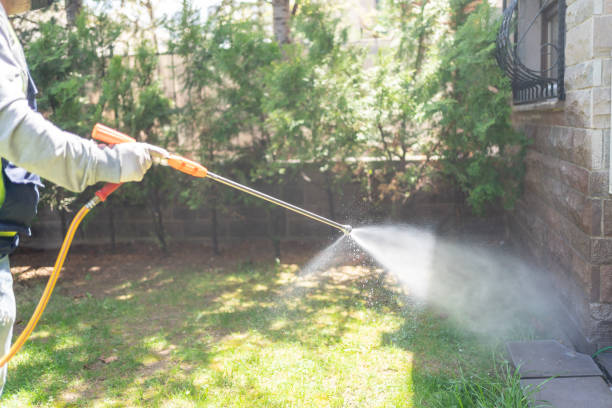 Flea Control Services in Maypearl, TX