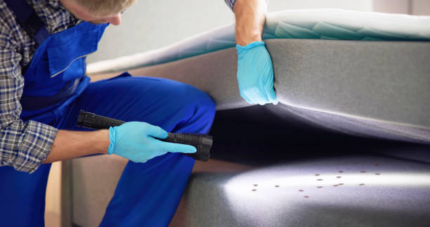 Best Pest Inspection Near Me  in Maypearl, TX