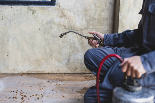 Best Pest Control for Businesses  in Maypearl, TX